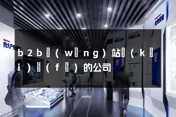 b2b網(wǎng)站開(kāi)發(fā)的公司