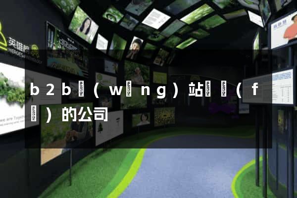 b2b網(wǎng)站開發(fā)的公司