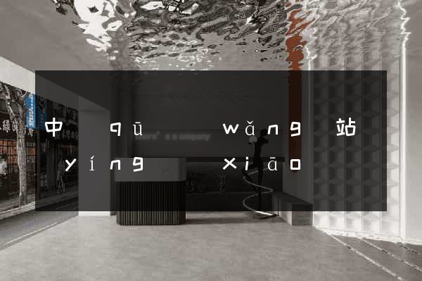 中區(qū)網(wǎng)站營(yíng)銷(xiāo)