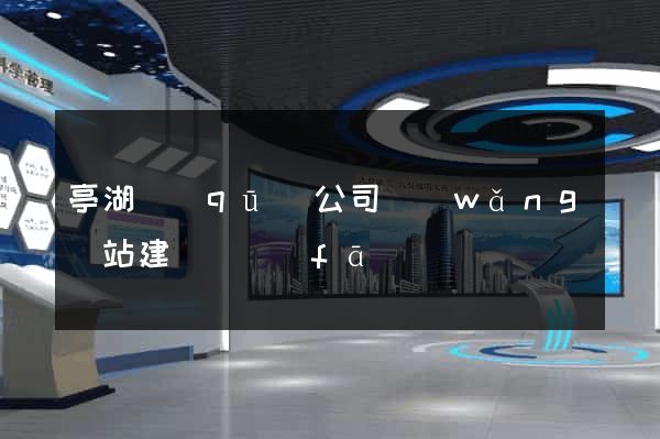 亭湖區(qū)公司網(wǎng)站建設開發(fā)