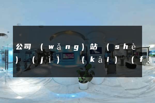公司網(wǎng)站設(shè)計(jì)與開(kāi)發(fā)