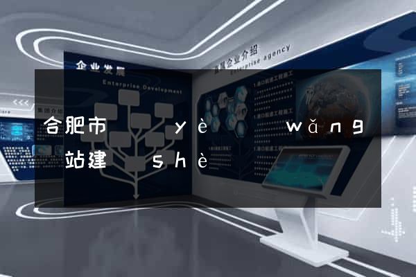 合肥市專業(yè)網(wǎng)站建設(shè)