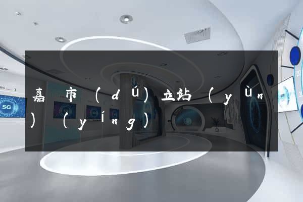 嘉興市獨(dú)立站運(yùn)營(yíng)