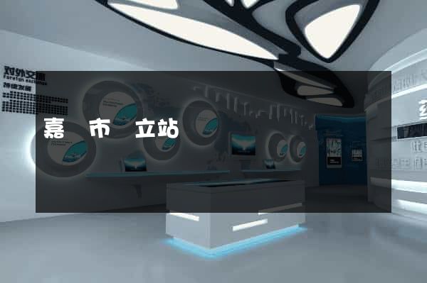 嘉興市獨立站運營