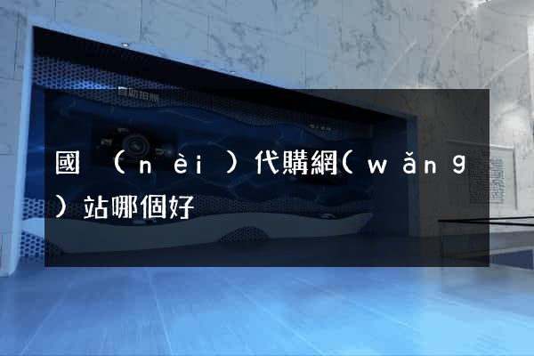 國內(nèi)代購網(wǎng)站哪個好