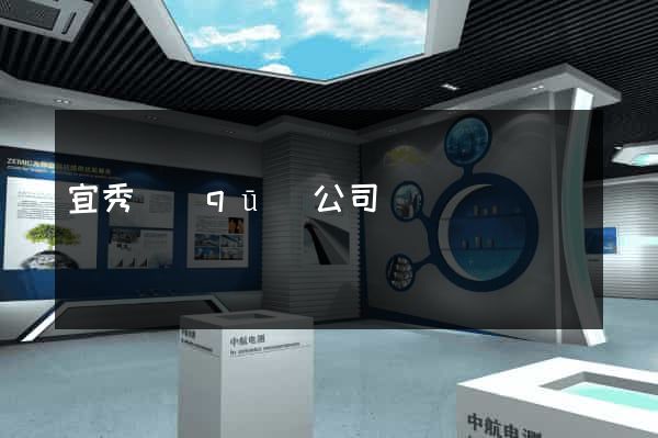 宜秀區(qū)公司網頁設計