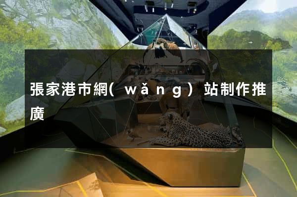 張家港市網(wǎng)站制作推廣