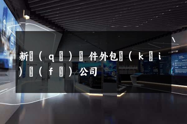 新區(qū)軟件外包開(kāi)發(fā)公司