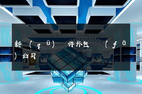 新區(qū)軟件外包開發(fā)公司