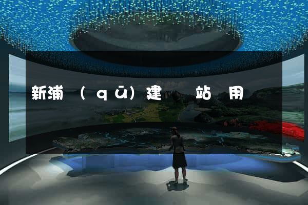 新浦區(qū)建個網站費用