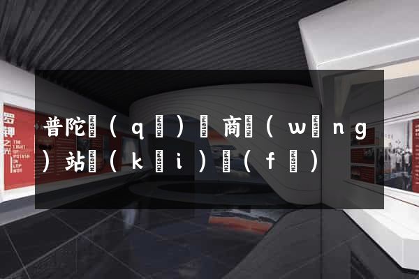 普陀區(qū)電商網(wǎng)站開(kāi)發(fā)