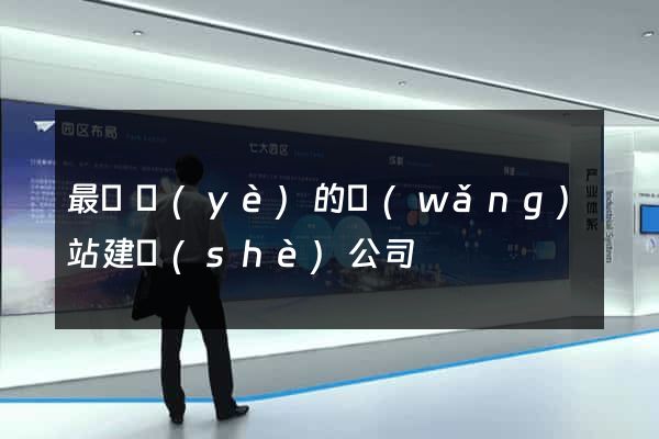最專業(yè)的網(wǎng)站建設(shè)公司