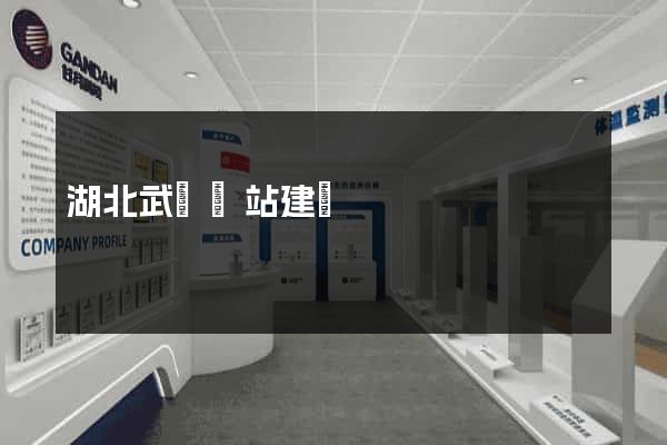 湖北武漢網站建設