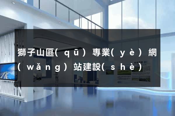 獅子山區(qū)專業(yè)網(wǎng)站建設(shè)