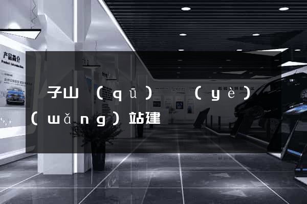 獅子山區(qū)專業(yè)網(wǎng)站建設