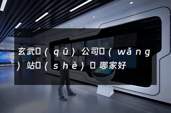 玄武區(qū)公司網(wǎng)站設(shè)計哪家好