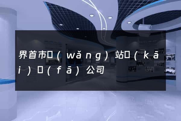 界首市網(wǎng)站開(kāi)發(fā)公司