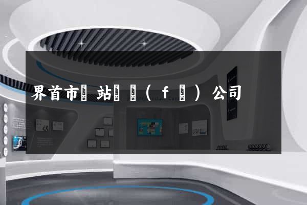 界首市網站開發(fā)公司