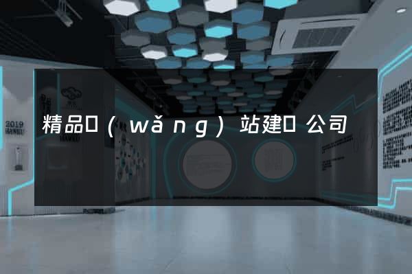精品網(wǎng)站建設公司
