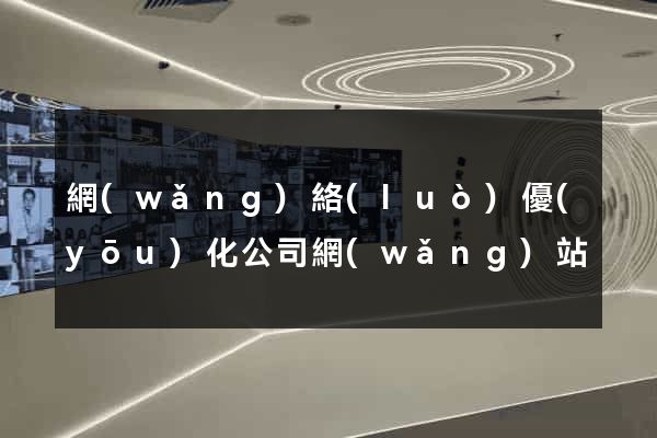 網(wǎng)絡(luò)優(yōu)化公司網(wǎng)站