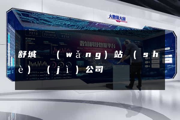 舒城縣網(wǎng)站設(shè)計(jì)公司