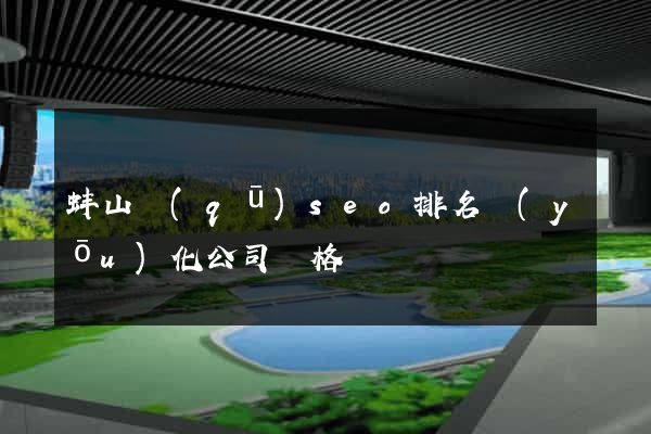蚌山區(qū)seo排名優(yōu)化公司價格
