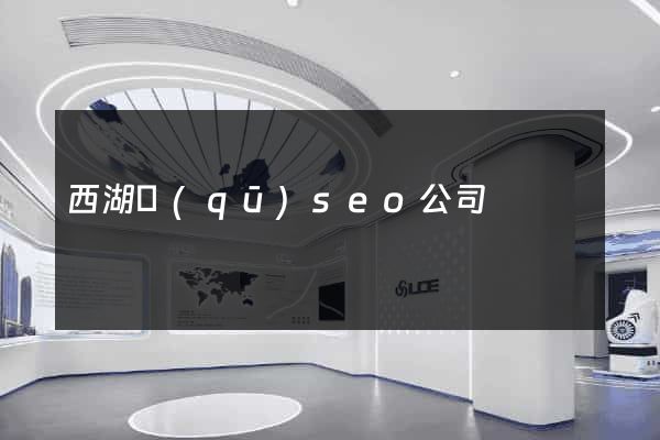 西湖區(qū)seo公司