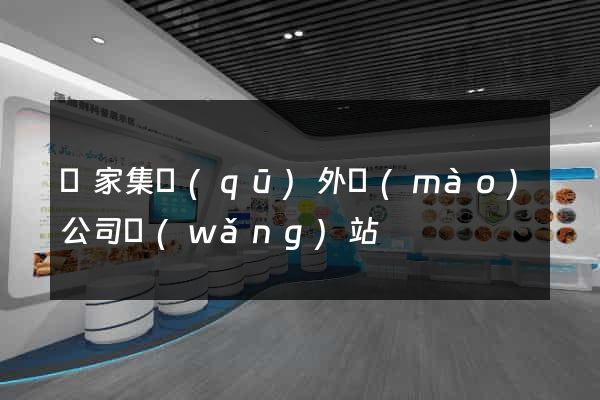 謝家集區(qū)外貿(mào)公司網(wǎng)站