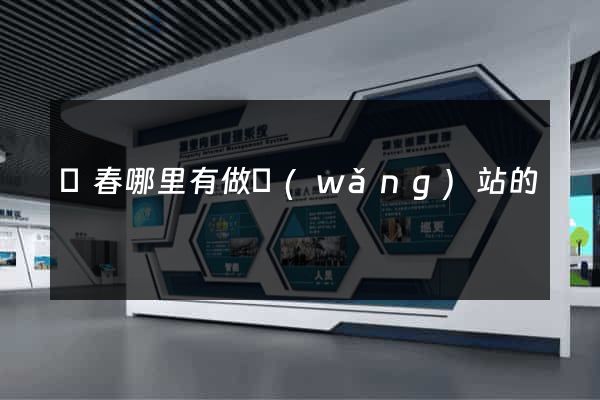 長春哪里有做網(wǎng)站的