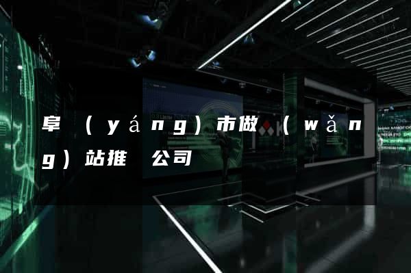 阜陽(yáng)市做網(wǎng)站推廣公司