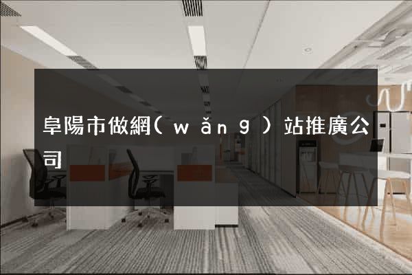阜陽市做網(wǎng)站推廣公司