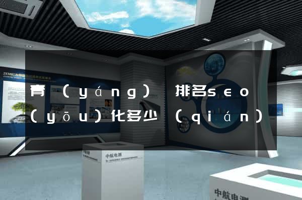青陽(yáng)縣排名seo優(yōu)化多少錢(qián)