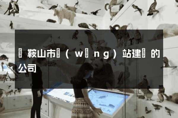 馬鞍山市網(wǎng)站建設的公司