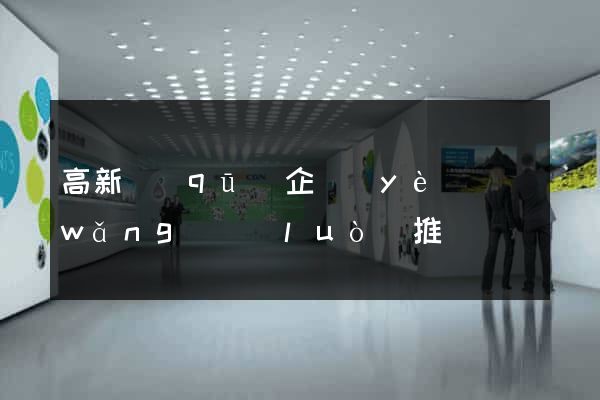 高新區(qū)企業(yè)網(wǎng)絡(luò)推廣