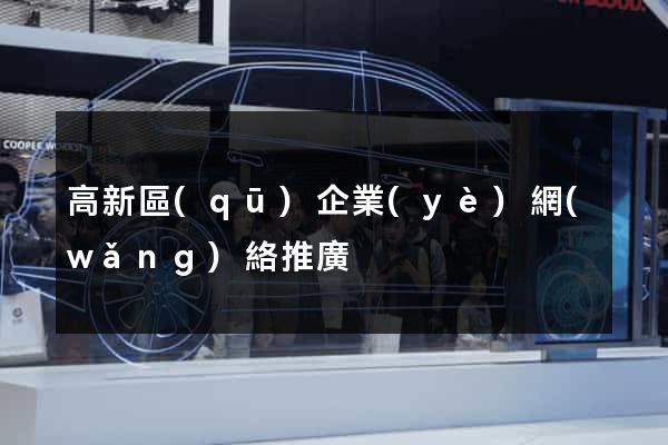 高新區(qū)企業(yè)網(wǎng)絡推廣