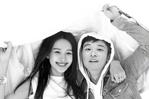 安吉縣網(wǎng)站設(shè)計公司