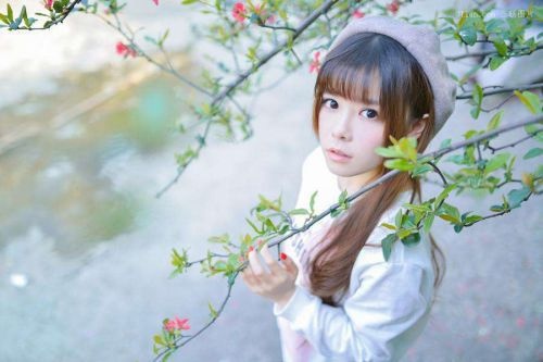 環(huán)藝畢業(yè)設(shè)計(jì)網(wǎng)站