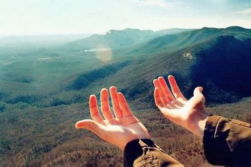 app網(wǎng)站建設(shè)