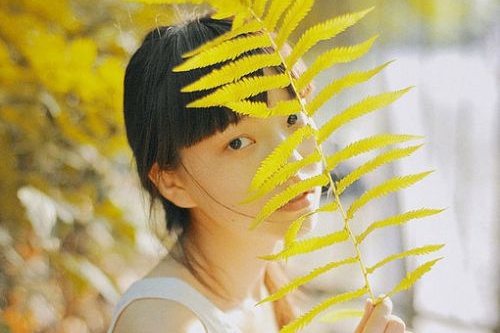 ?？诰W(wǎng)站建設(shè)模板網(wǎng)絡(luò)公司