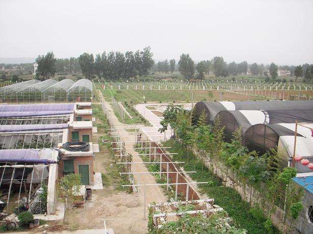 廣西金秀盤(pán)王河農(nóng)業(yè)開(kāi)發(fā)有限公司